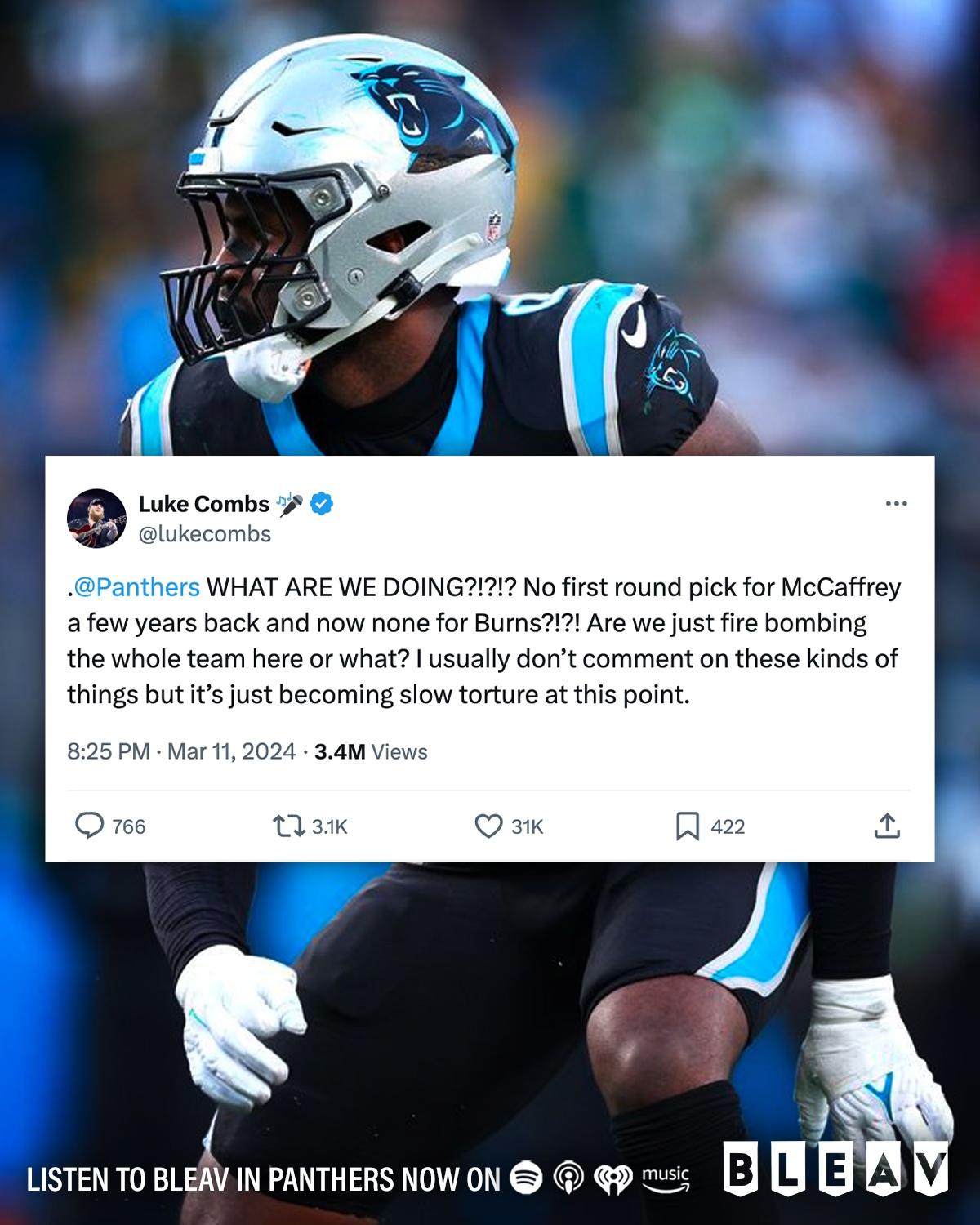 panthers graphic